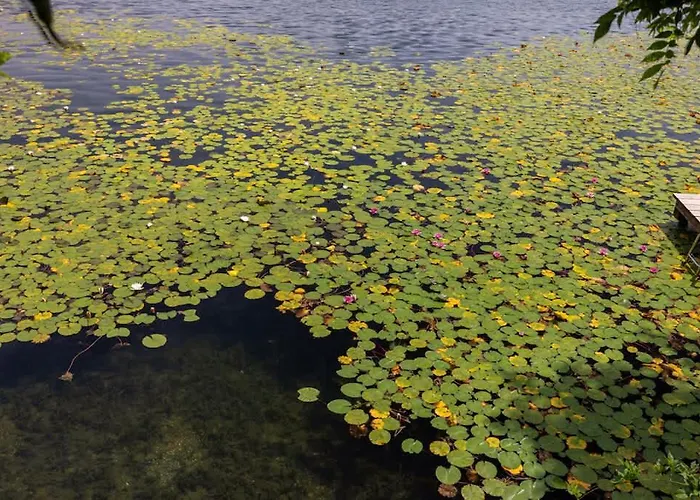 Вилла Monate Travedona